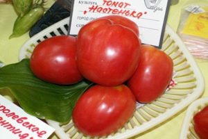 Caractéristiques et description de la variété de tomate Nastenka, son rendement