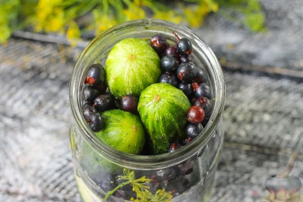 Johannisbeeren werden erlauben