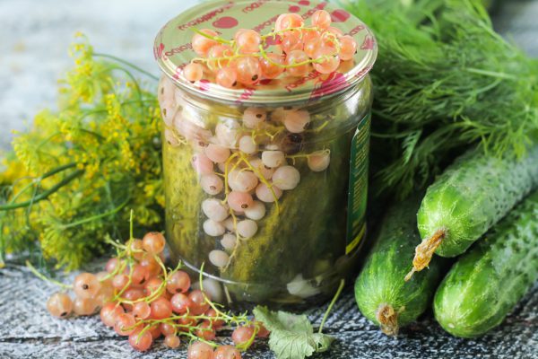 Johannisbeere und Kirsche