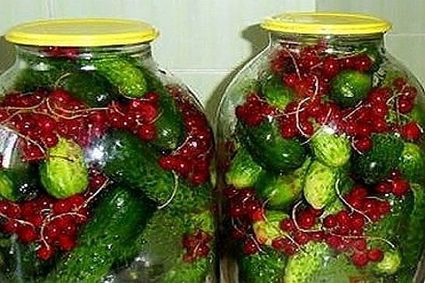 Gurken mit Johannisbeeren