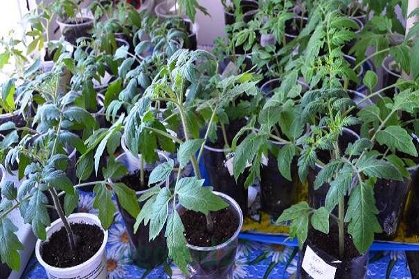 Arbeitskosten senken