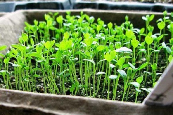 zusätzliche Beleuchtung