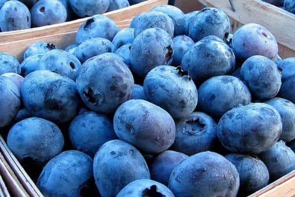 essayant de ne pas endommager