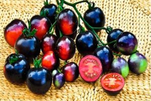 Caractéristiques et description de la variété de tomate Black Grape, son rendement