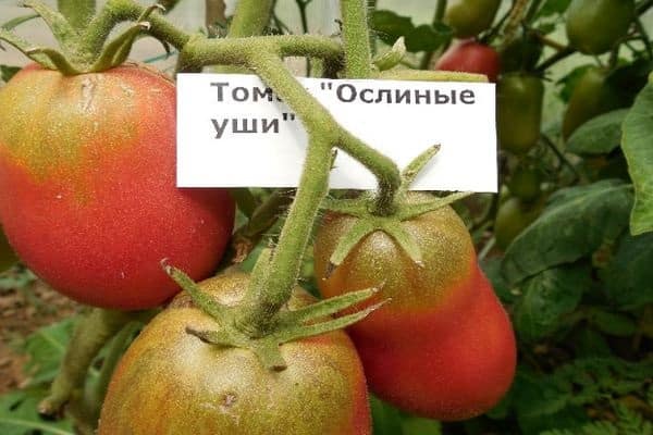 propriétés négatives