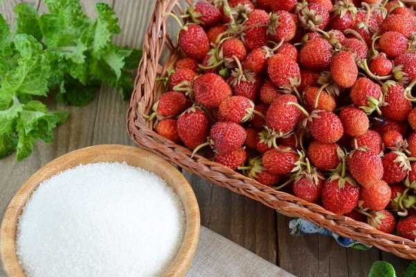 Préparation Victoria