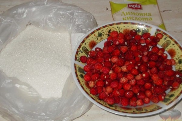 Der Leckerbissen wird aufbewahrt