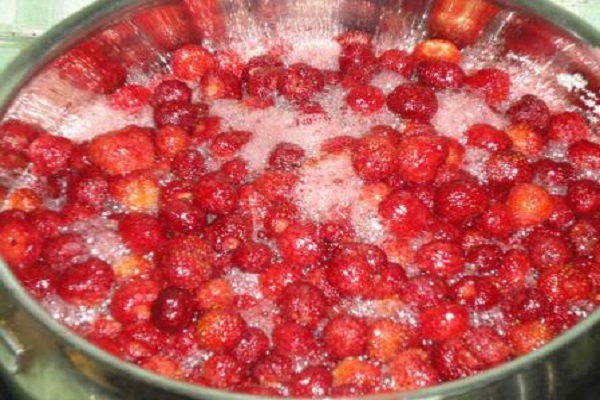 Beeren zum Kochen bringen