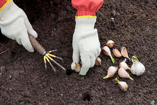 sélection de siège