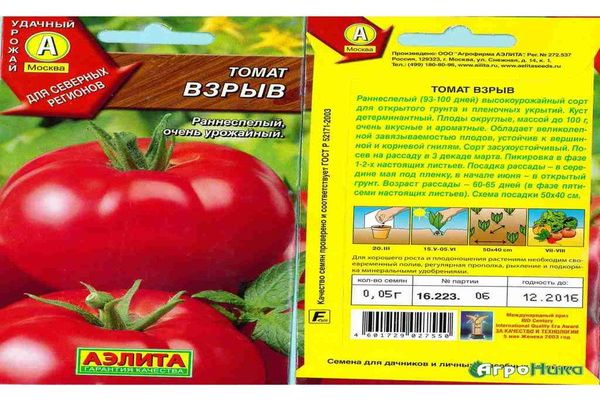 explosion de tomates