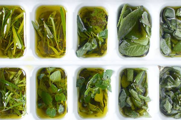 Grün in Eiswürfeln