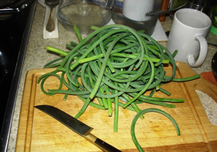 Knoblauchpfeile hacken