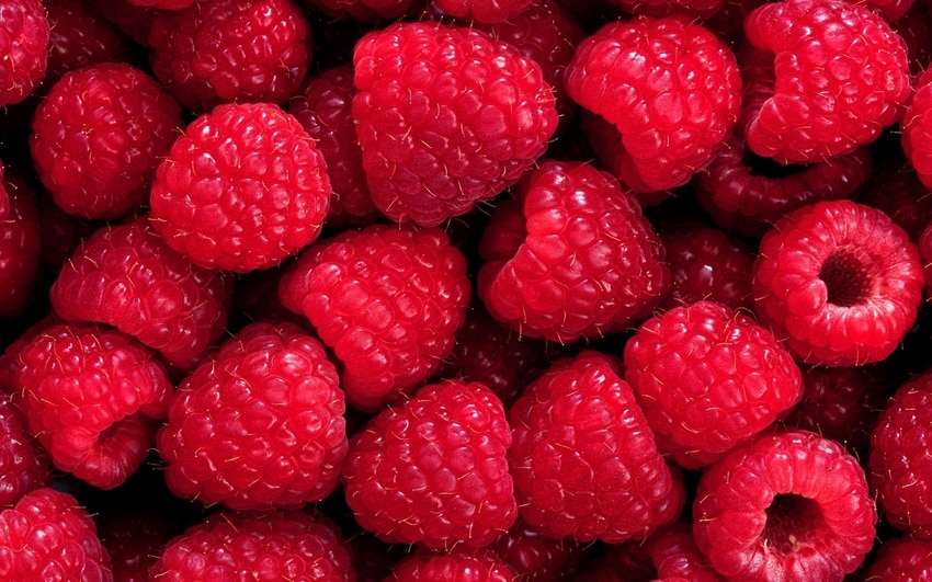 reife Himbeeren