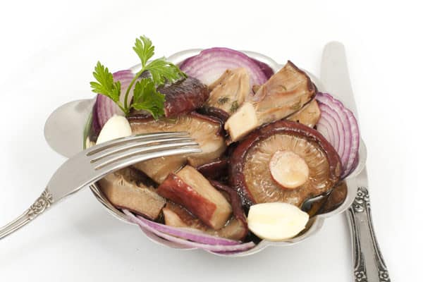 Aussehen von gesalzenen Milchpilzen