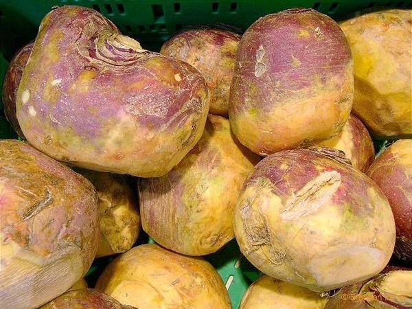 reife Rutabaga