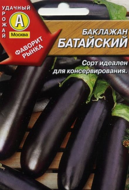Aubergine de la Baltique