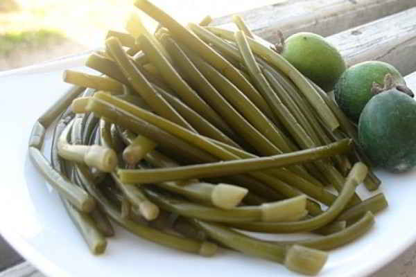 Knoblauchpfeile gewaschen