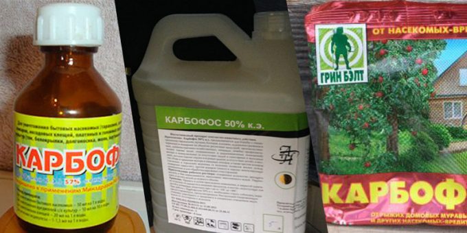 Lösung von Karbofos