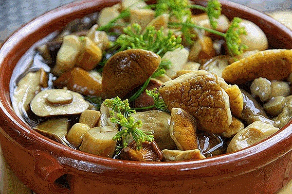 salted milk mushrooms with herbs