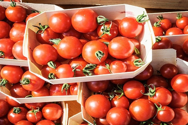 geschmacklos im gefrorenen Zustand