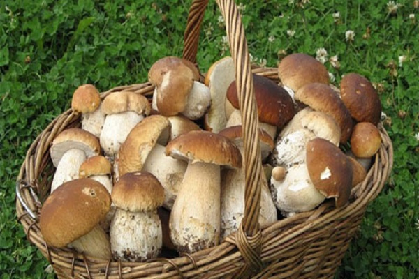 recipes with sterilization