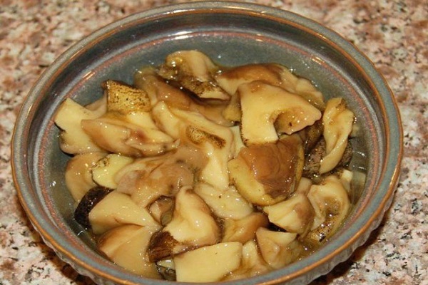 boletus for the winter