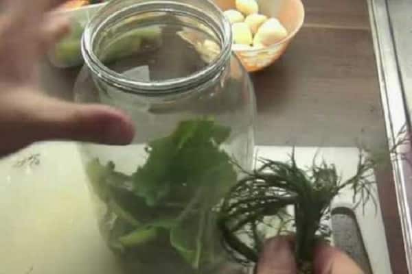 vollständige Auflösung