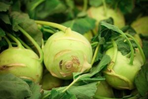 Rezepte zum Kochen von Kohlrabi-Kohl für den Winter mit und ohne Sterilisation
