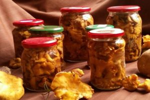 Einfache Schritt-für-Schritt-Rezepte für die Herstellung eingelegter Pfifferlinge für den Winter zu Hause