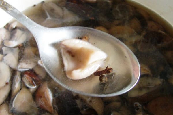 Nous récoltons des champignons