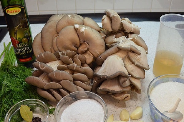 vinaigre de cidre de pomme