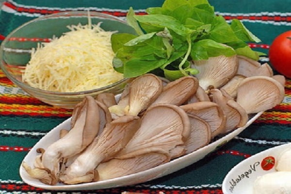 plat prêt