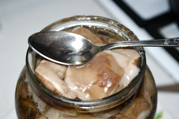 milk mushrooms in the bank