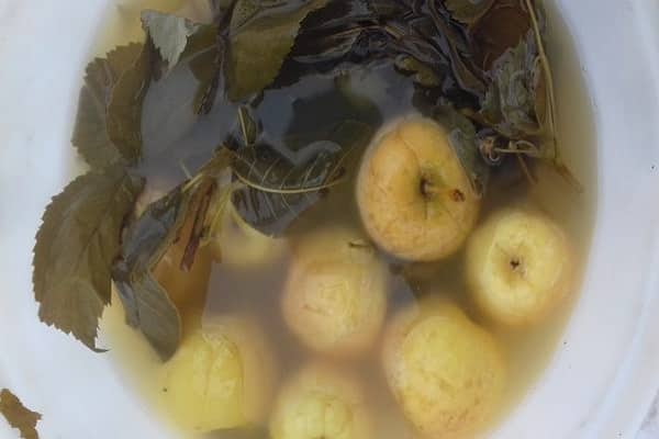 wird bis zum Sommer stehen