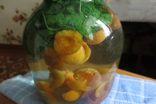 Mit einer Decke abdecken