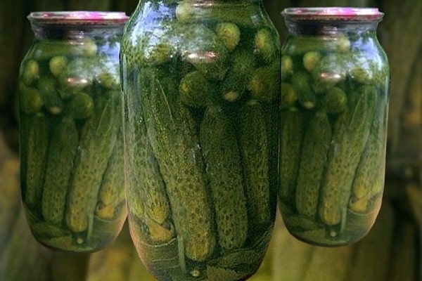 capacité à stériliser