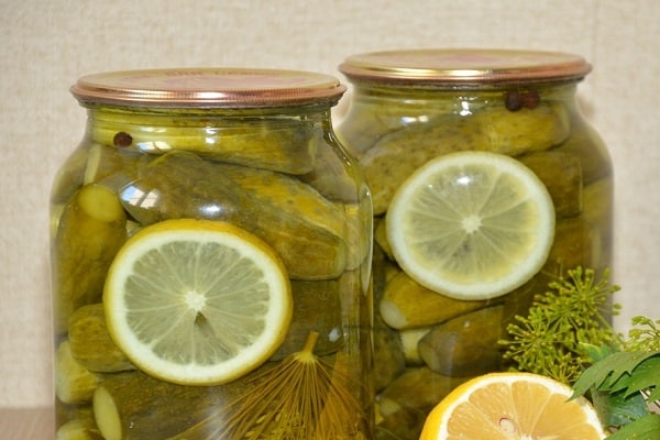 conservation du magasin