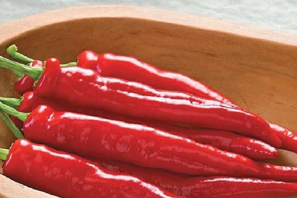 ausgezeichnetes Ergebnis