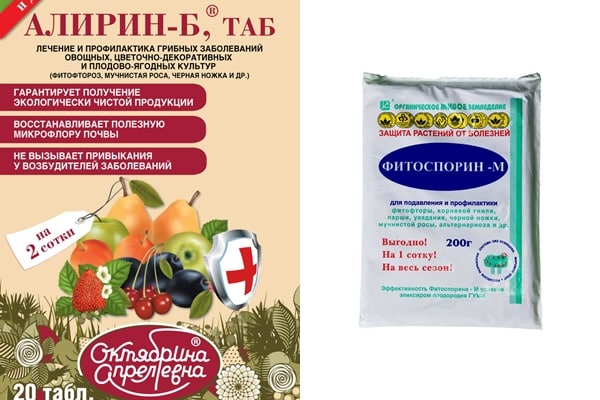 Medikamente gegen Apfelkrankheiten