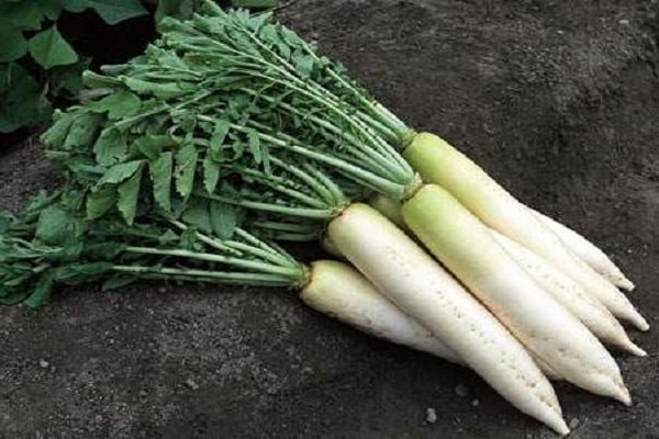 wird auf dem Tisch erscheinen