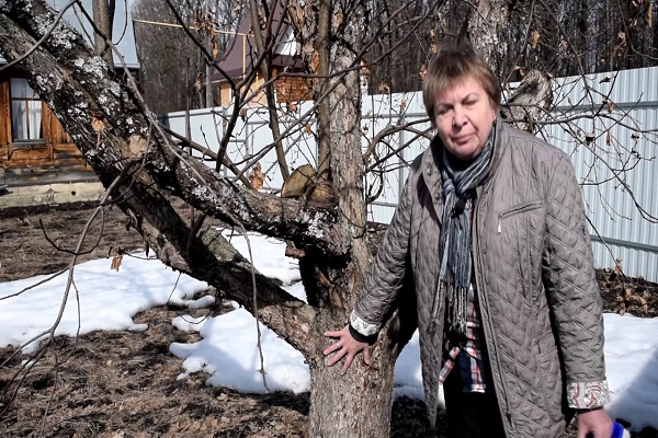 gewünschten Erfolge