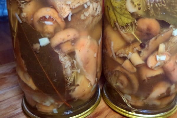 die folgenden Aktionen