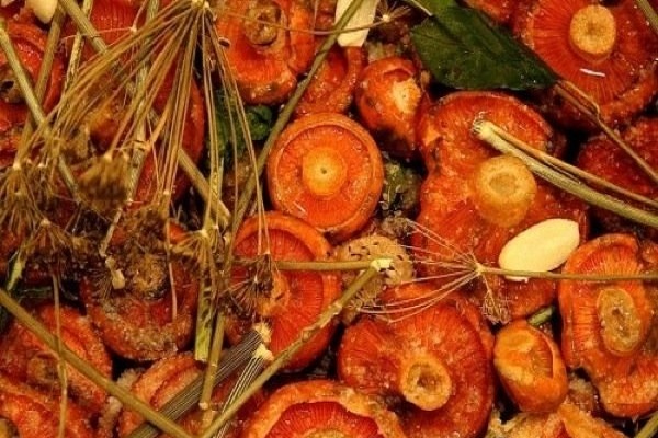 mit kochendem Wasser verbrüht