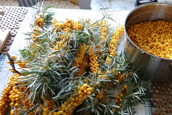 ingrédient principal