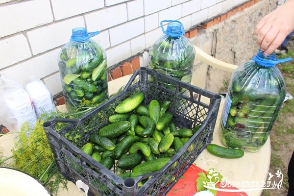 disponibilité de ses composants