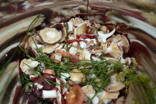 les champignons étaient préparés