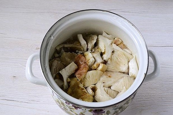 les cornichons prennent