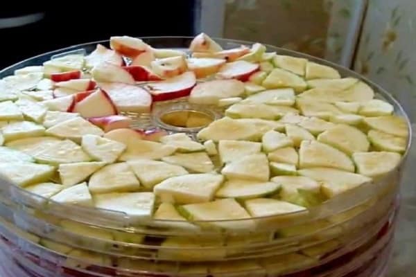 mettre dans la sécheuse