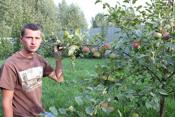 croissant dans les régions