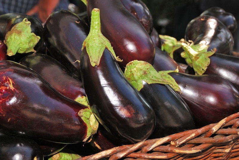 reife Aubergine